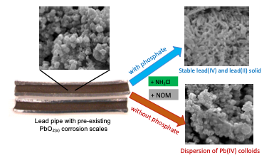 Publications | Liu Research Group